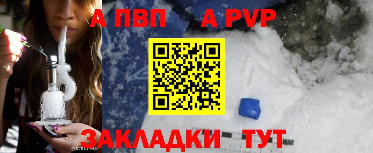 A PVP СК Светлоград