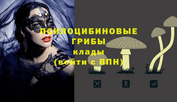 твердый Алексин