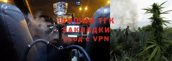 PSILOCYBIN Алзамай