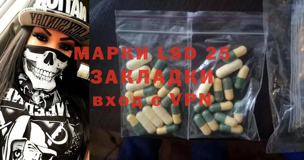 стаф Осинники