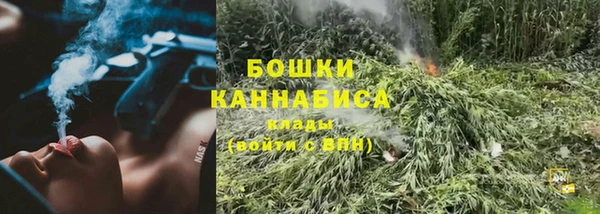 PSILOCYBIN Алзамай