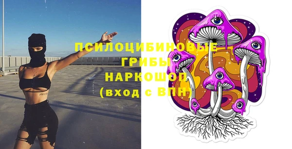 твердый Алексин