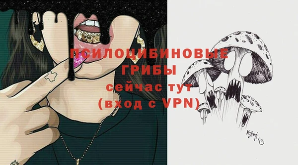 spice Алексеевка