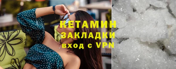 стаф Осинники