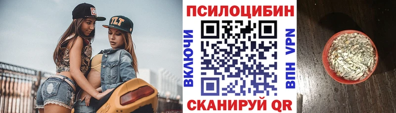 Псилоцибиновые грибы прущие грибы  Светлоград 